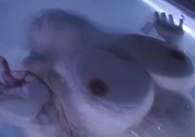 ntr的快乐～酒店浴室后入巨乳